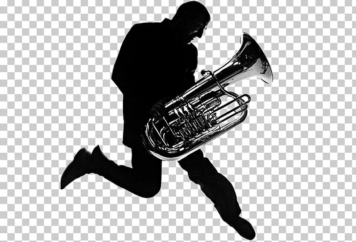 Trumpet Tuba Saxhorn Tenor Horn Mellophone PNG, Clipart, Alto Horn, Audio, Brass Instrument, Compact Disc, Cornet Free PNG Download