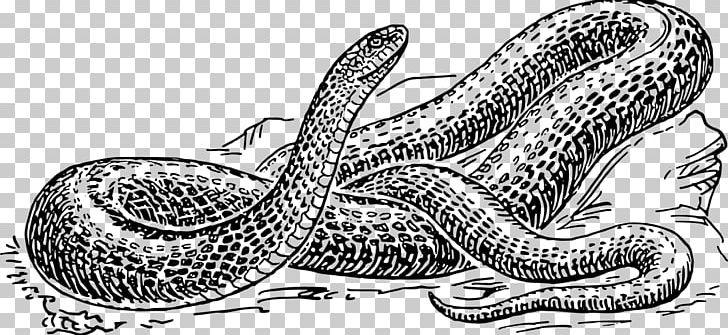 Snake Reptile Drawing Black And White PNG, Clipart, Animals, Automotive Design, Boas, Fauna, Hand Free PNG Download