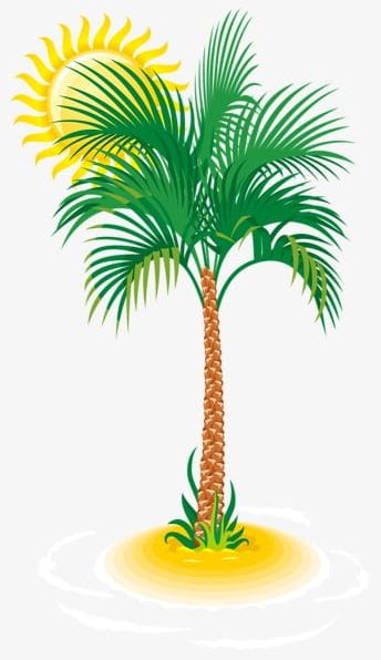 Coconut Trees Under The Sun PNG, Clipart, Coconut, Coconut Clipart, Coconut Clipart, Coconut Tree, Sun Free PNG Download