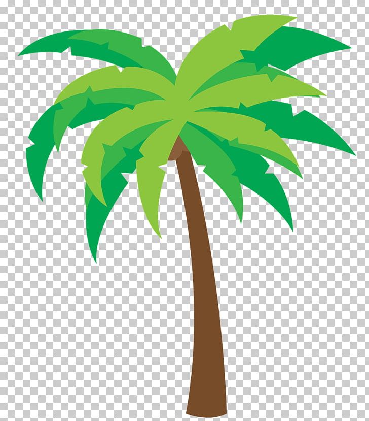 Arecaceae PNG, Clipart, Agency, Arecaceae, Arecales, Cartoon, Coconut Free PNG Download