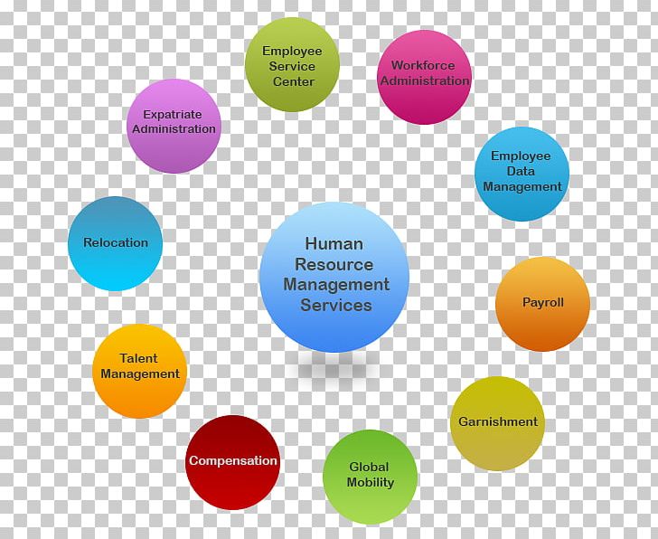Human Resource Management System Recruitment PNG, Clipart,  Free PNG Download