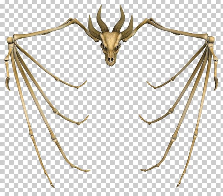 Human Skeleton Dragon Skull PNG, Clipart, Antler, Arthropod, Bone, Computer Icons, Dragon Free PNG Download