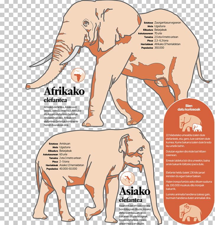 Indian Elephant African Elephant Wiki Loves Monuments Wikimedia Foundation PNG, Clipart, African Elephant, Area, Asian Elephant, Cattle Like Mammal, Elephant Free PNG Download