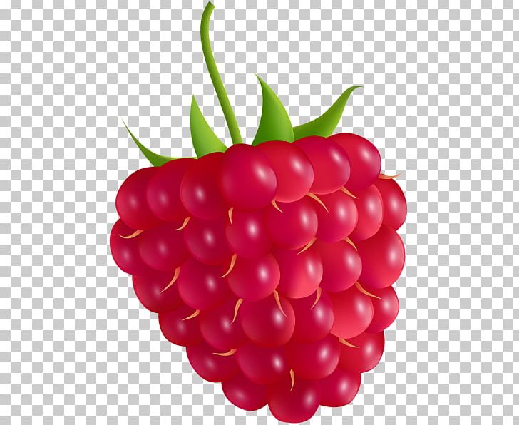 Raspberry Graphics PNG, Clipart, Auglis, Berry, Cherry, Cranberry, Drawing Free PNG Download