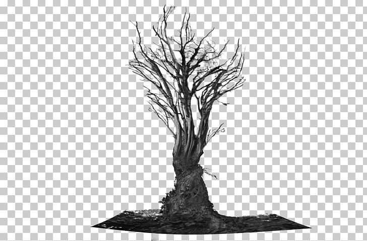Salix Integra Tree Root Trunk PNG, Clipart, Black And White, Branch, Deviantart, Houseplant, Monochrome Free PNG Download