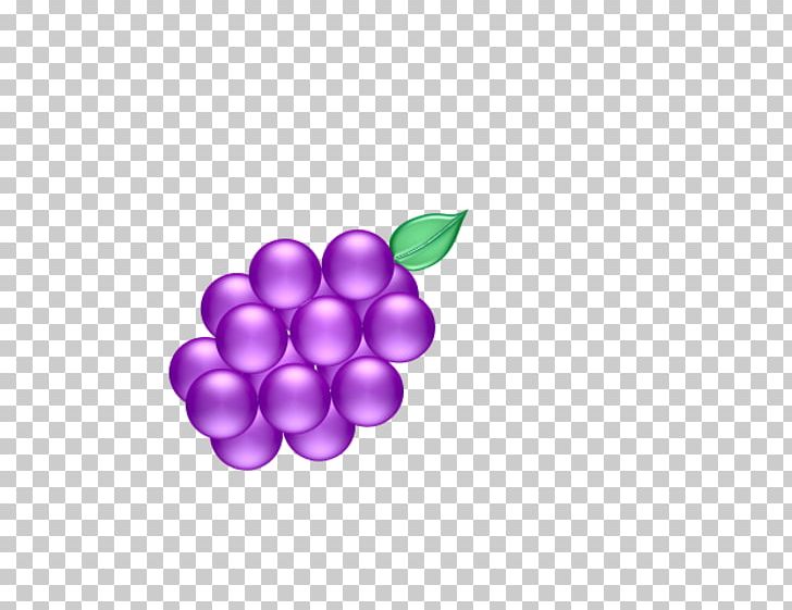 Violet Purple Lilac Grape Magenta PNG, Clipart, Fruit, Fruit Nut, Grape, Grapevine Family, Grapevines Free PNG Download