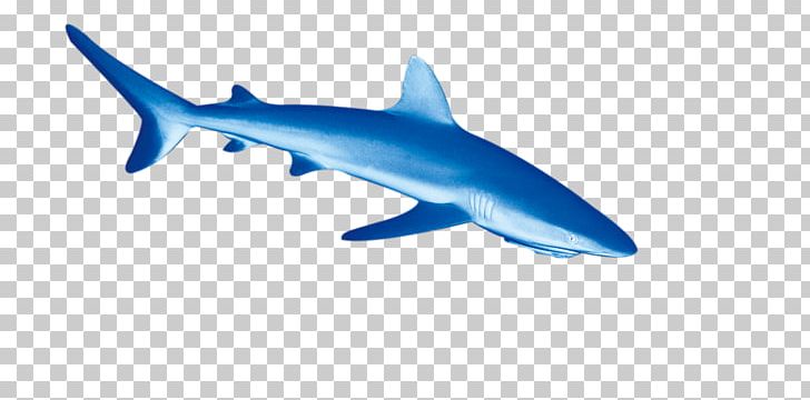 Tiger Shark Deep Sea Fish Euclidean PNG, Clipart, Animals, Blue, Carcharhiniformes, Cartoon, Cartoon Dolphin Free PNG Download