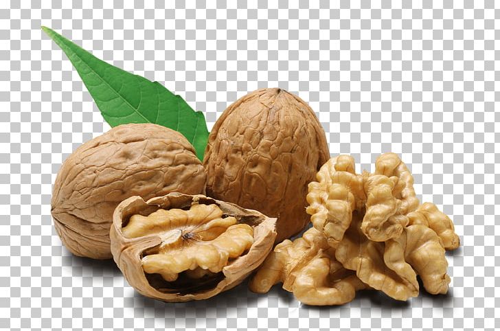 Walnut Dried Fruit PNG, Clipart, Almond, Cashew, Display Resolution, Dried Fruit, Flavor Free PNG Download