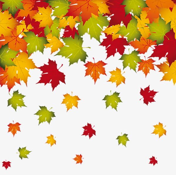 Falling Autumn Leaves Border PNG, Clipart, Akiba, Autumn Clipart, Border Clipart, Falling Clipart, Floating Free PNG Download