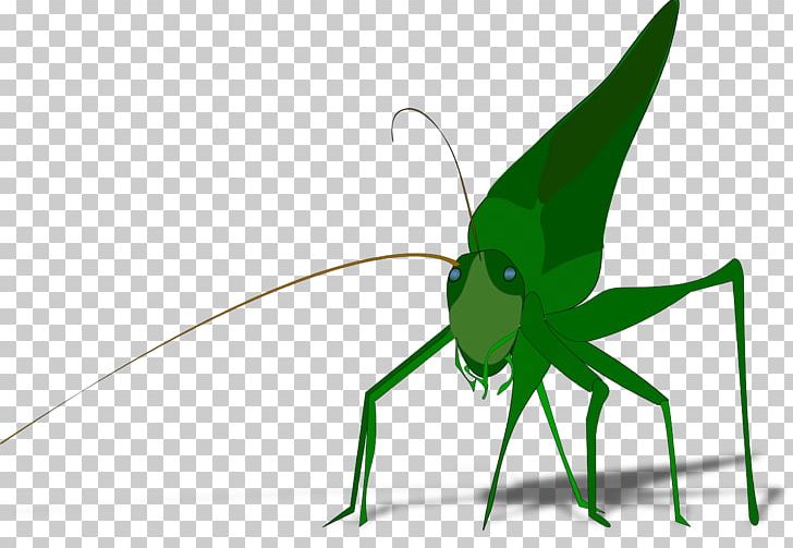 The Ant And The Grasshopper PNG, Clipart, Animation, Ant And The Grasshopper, Arthropod, Cricket, Cricket Like Insect Free PNG Download