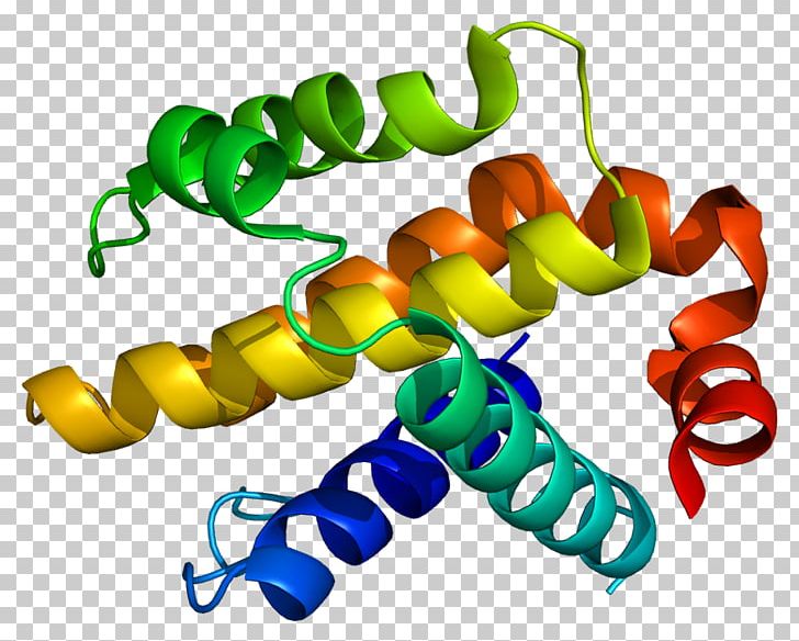 Bcl-2 Family BCL2-like 1 Bcl-2-associated X Protein Bcl-xL PNG, Clipart, 2 L, Apoptosis, Bcl2, Bcl2 Family, Bcl2 Homologous Antagonist Killer Free PNG Download