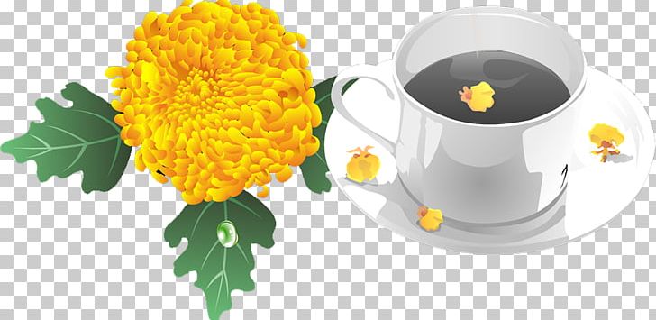 Green Tea Coffee Cup PNG, Clipart, Black Tea, Chrysanthemum, Chrysanthemum Chrysanthemum, Chrysanthemum Flowers, Chrysanthemums Free PNG Download