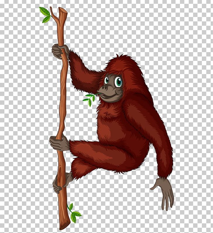Orangutan King Louie PNG, Clipart, Animals, Animation, Can Stock Photo, Carnivoran, Cartoon Free PNG Download