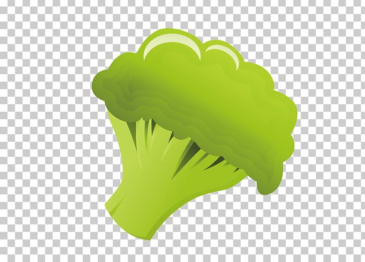 Broccoli Vegetable PNG, Clipart, Anticancer, Broc, Broccoli 0 0 3, Broccoli Art, Broccoli Dog Free PNG Download