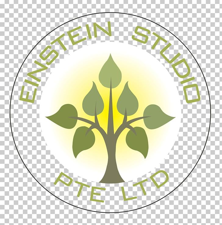Einstein Studio Pte Ltd Interior Design Services Catwash OLEANDER BREEZE PNG, Clipart, 567761, Adbox Studio Logo, Art, Brand, Green Free PNG Download