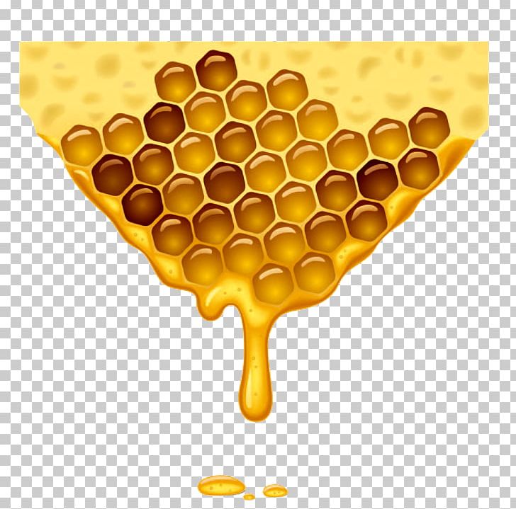 Honey Bee Honeycomb Beehive PNG, Clipart, Bee, Beehive, Bees, Beeswax, Drawing Free PNG Download
