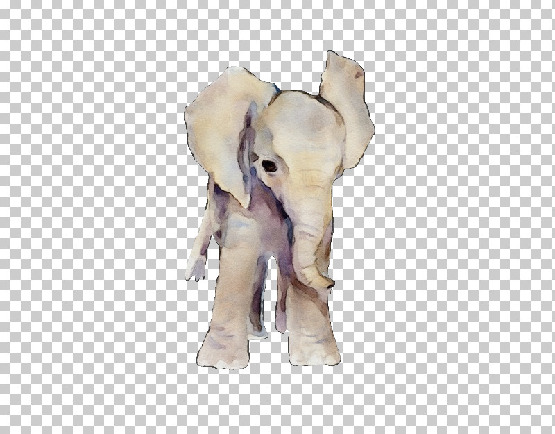 Indian Elephant PNG, Clipart, Africa, African Elephants, Biology, Elephant, Elephants Free PNG Download