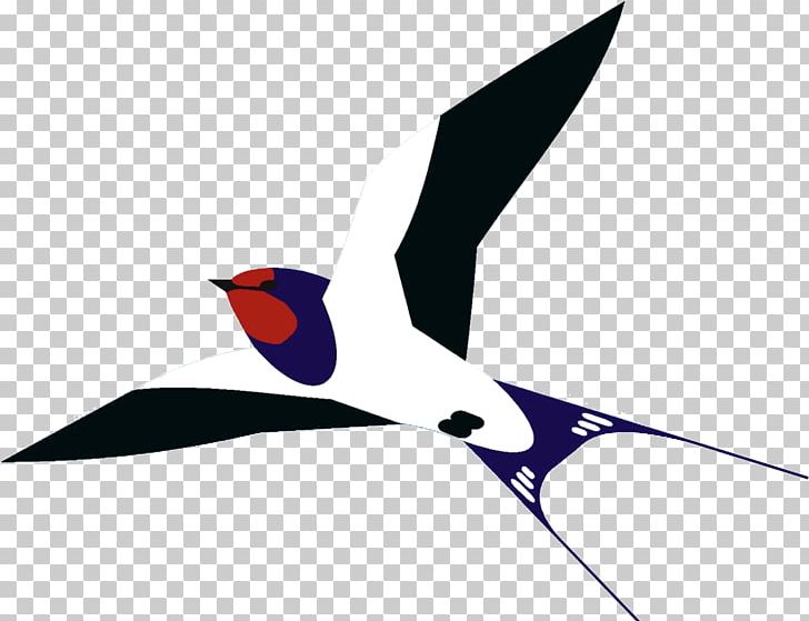 Bird Barn Swallow Beak PNG, Clipart, Animals, Barn Swallow, Beak, Bird, Encapsulated Postscript Free PNG Download