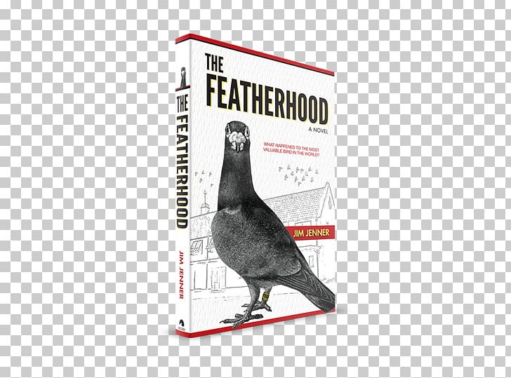 Racing Homer The Featherhood Columbidae Homing Pigeon Book PNG, Clipart, Advertising, Audiobook, Author, Beak, Bird Free PNG Download