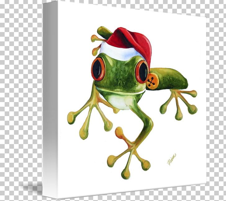 The Tree Frog Toad Amphibian PNG, Clipart, Amphibian, Animals, Cane Toad, Christmas, Christmas Tree Free PNG Download