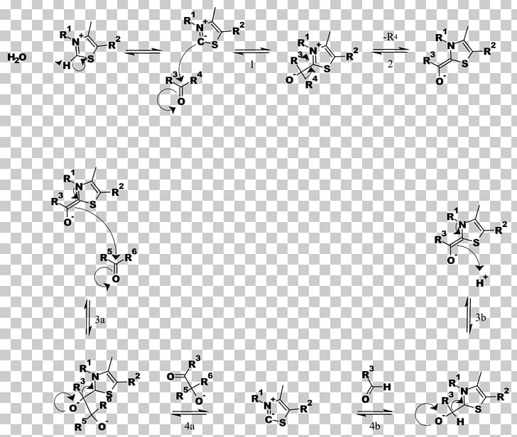 Thiamine Pyrophosphate Transketolase Reaction Mechanism Chemical Reaction Chemistry PNG, Clipart, Area, Black, Chemical Reaction, Chemistry, Monochrome Free PNG Download