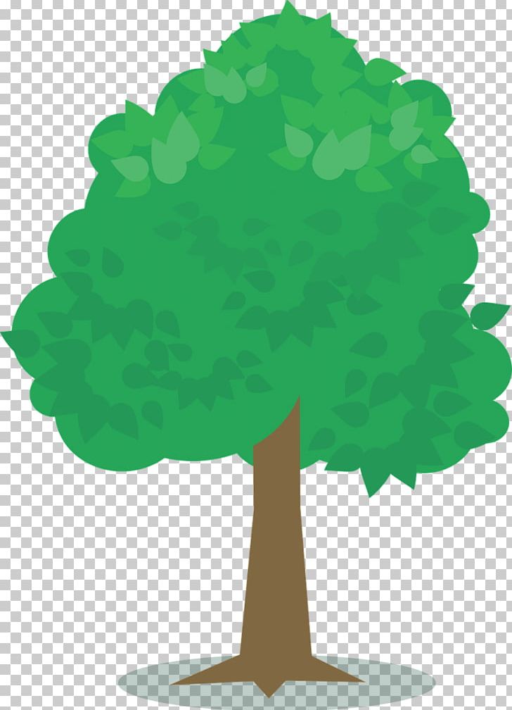 Tree T-shirt Green Plants PNG, Clipart, Child, Evergreen, Grass, Green, Green Plant Free PNG Download