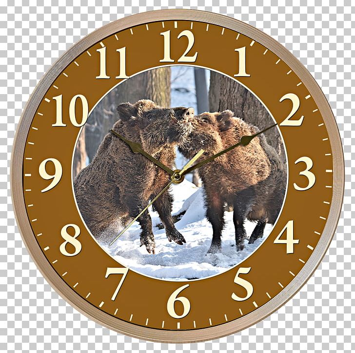 Clock Clothing Accessories PNG, Clipart, Animals, Boar, Clock, Clothing Accessories, Home Accessories Free PNG Download