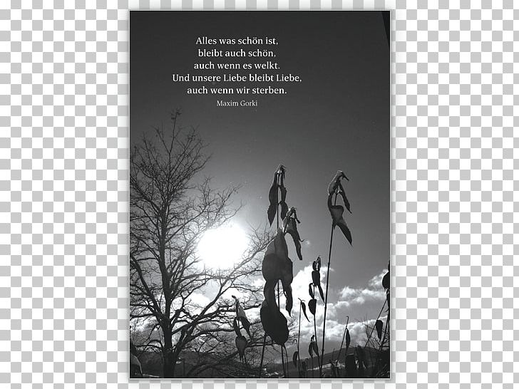Condolences Mourning Trauerspruch Quotation Saying PNG, Clipart, Black And White, Condolences, Consolation, Death, Greeting Note Cards Free PNG Download