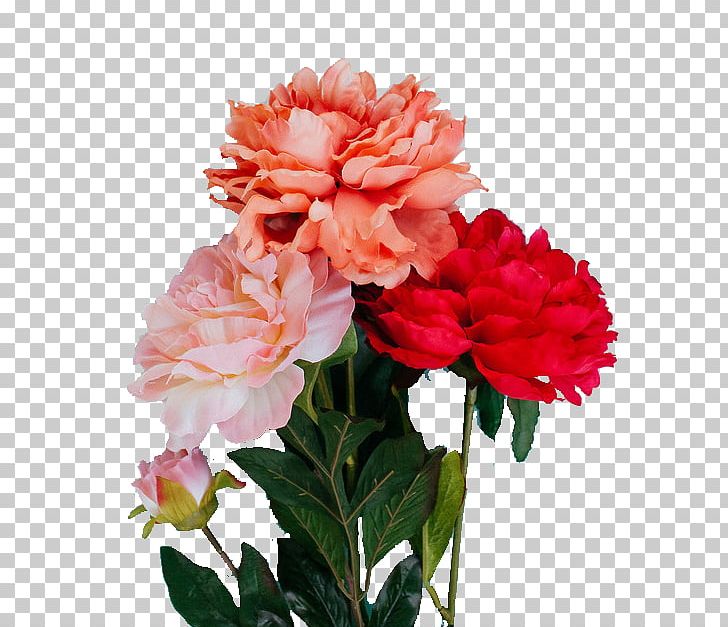 The Best Yes: Making Wise Decisions In The Midst Of Endless Demands Flower Photography Color PNG, Clipart, Annual Plant, Artificial Flower, Begonia, Blessing, Blue Free PNG Download