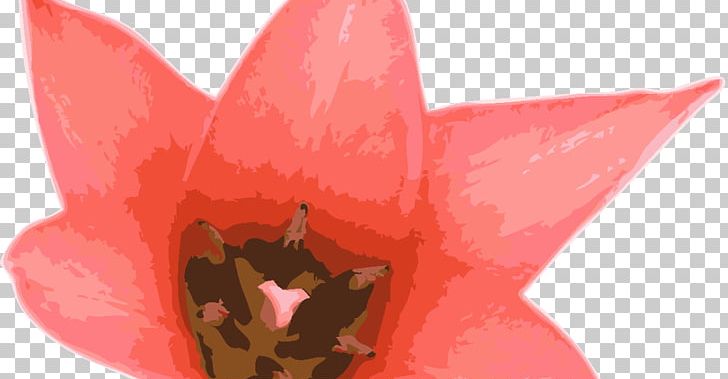 Tulip Petal Flower PNG, Clipart, Flower, Flowering Plant, Flowers, Petal, Plant Free PNG Download
