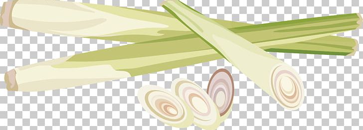 Watercolor Painting Scallion Allium Fistulosum PNG, Clipart, Angle, Background Green, Features, Food, Graphic Design Free PNG Download