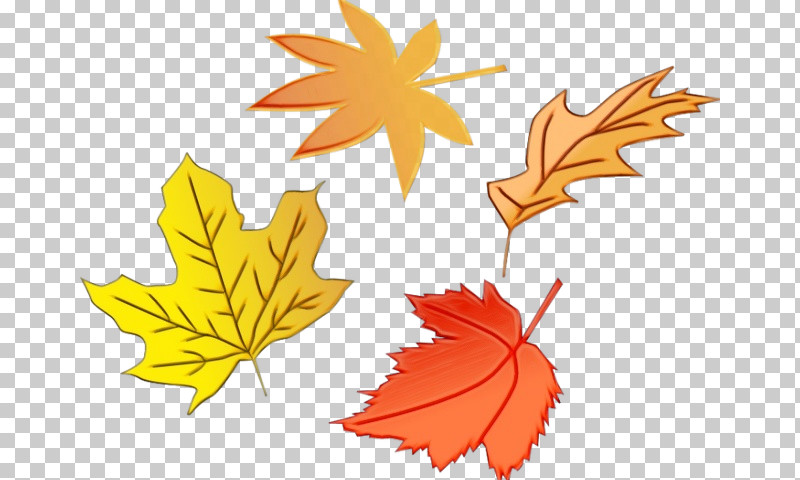 Aqdr Mékinac Maple Leaf / M Tree / M School PNG, Clipart, Leaf, Maple Leaf M, Newsletter, Paint, Pub Free PNG Download