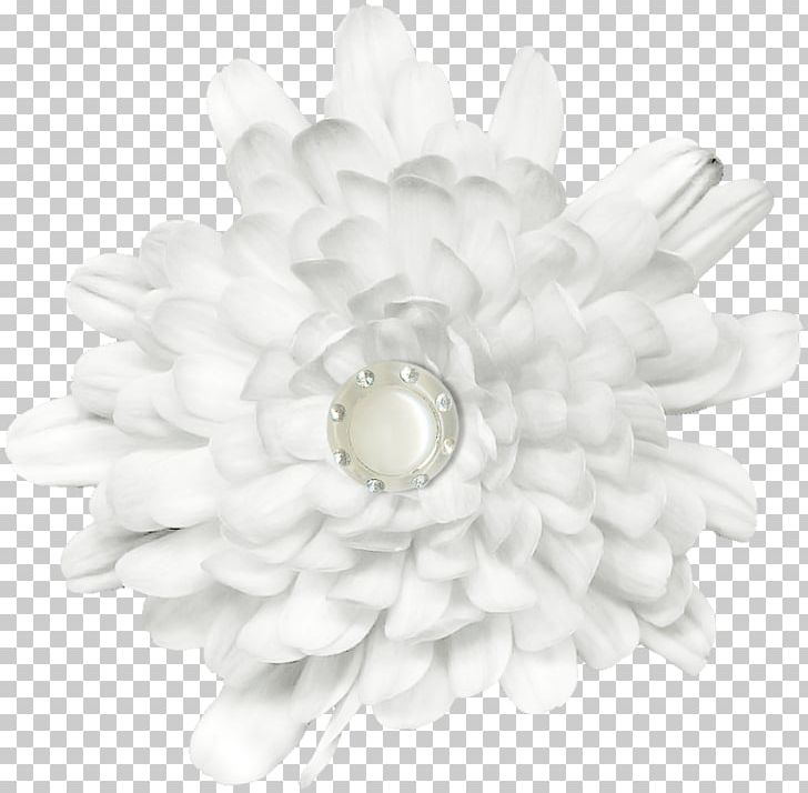 Petal PNG, Clipart, Flower, Flowering Plant, Log Texture, Petal, White Free PNG Download