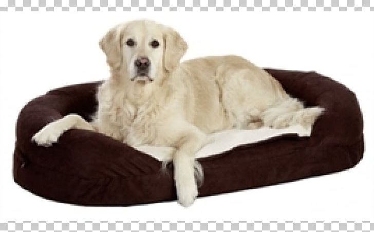 Bed Dog Orthopaedics Orthopedic Mattress Oval PNG, Clipart, Animals, Bed, Bed Size, Blanket, Companion Dog Free PNG Download