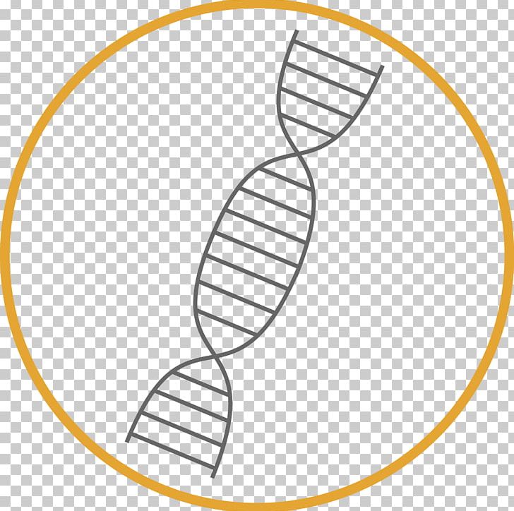 Weidevenne Drawing PNG, Clipart, Adna, Area, Circle, Diagram, Dna Free PNG Download