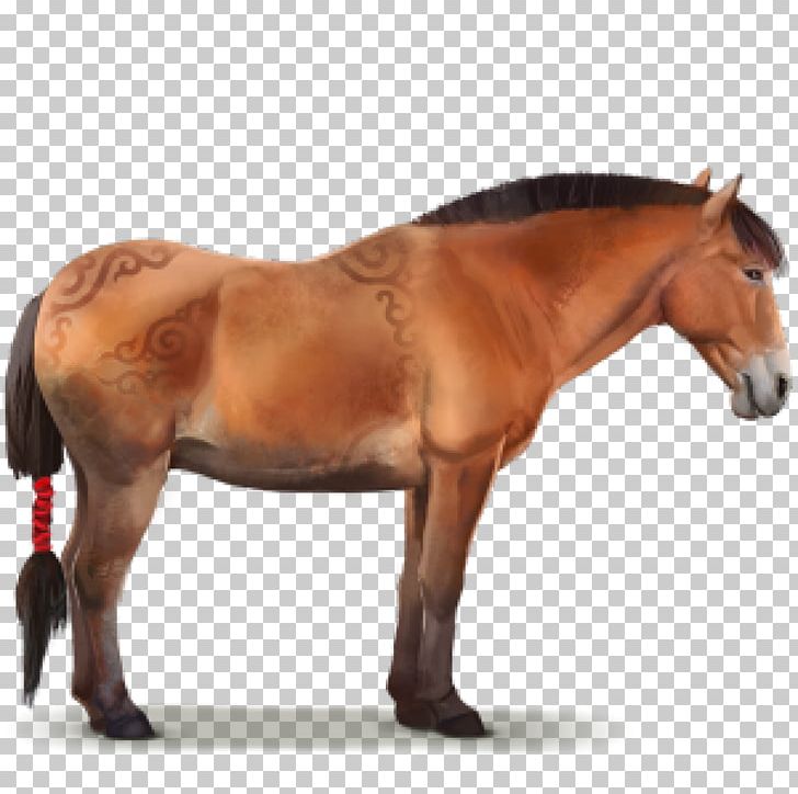 Arabian Horse Nangchen Horse Mongolian Horse Howrse American Paint Horse PNG, Clipart, Animal, Bit, Breed, Bridle, Chincoteague Pony Free PNG Download