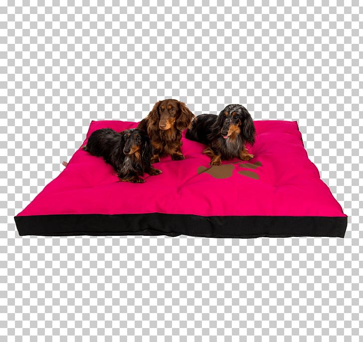 Dog Breed Mattress Pelechy Dog Beds PNG, Clipart, Bed, Breed, Czech Republic, Dog, Dog Bed Free PNG Download