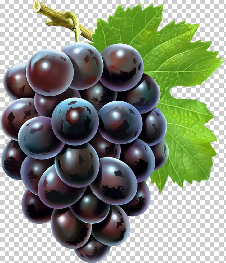 Grape Seed Extract Android Grape Seed Oil PNG, Clipart, Amazon Grape, Auglis, Berry, Blackberry, Boysenberry Free PNG Download