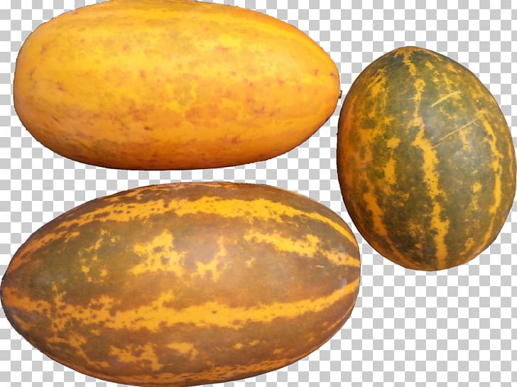Kerala Cucumber Muskmelon Vegetable PNG, Clipart, Armenian Cucumber, Bitter Melon, Commodity, Cucumber, Cucumber Gourd And Melon Family Free PNG Download
