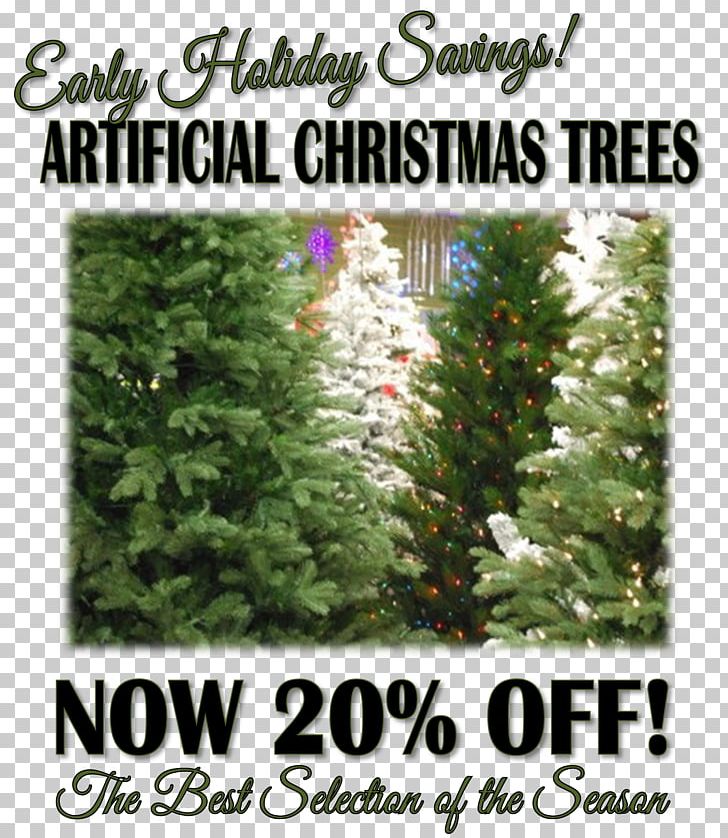 Christmas Tree Spruce Fir Evergreen Shrub PNG, Clipart, Christmas, Christmas Decoration, Christmas Tree, Christmas Tree Shops, Conifer Free PNG Download