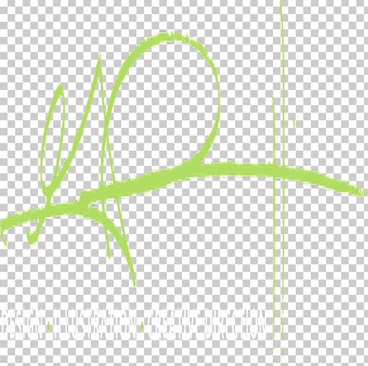 Leaf Green Grasses Plant Stem PNG, Clipart, Closeup, Creep Show, Grass, Grasses, Grass Family Free PNG Download