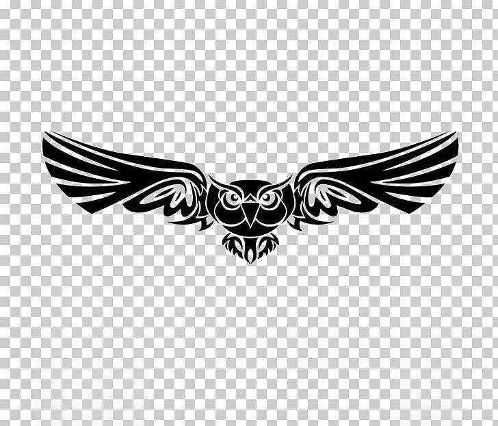 Owl Bird PNG, Clipart, Animals, Art, Bir, Black, Black And White Free PNG Download