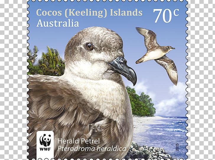 Birds Of Asia And Australia Cocos (Keeling) Islands Australia Post Postage Stamps And Postal History Of Australia PNG, Clipart, Australia Post, Beak, Bird, Charadriiformes, Christmas Stamp Free PNG Download