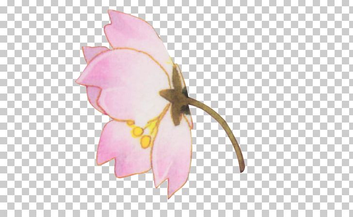 Cut Flowers Pink Petal PNG, Clipart, Cicekler, Computer Icons, Cut Flowers, Encapsulated Postscript, Flora Free PNG Download