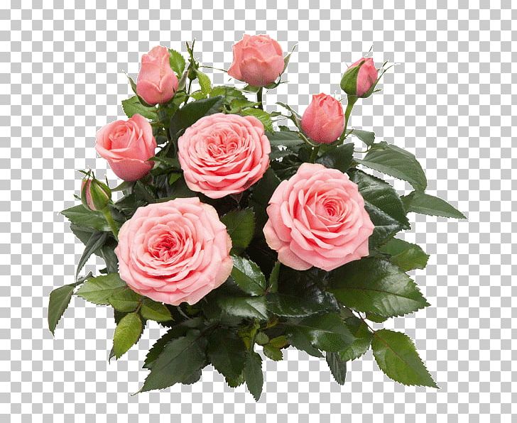 Garden Roses Cabbage Rose Memorial Rose Floribunda West Dekora Street PNG, Clipart, Artificial Flower, Brick, Cut Flowers, Floral Design, Floribunda Free PNG Download