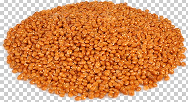 Proso Millet Cereal Fodder Echinochloa Esculenta PNG, Clipart, Bean, Buckwheat, Cereal, Cereal Germ, Commodity Free PNG Download