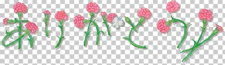 Sugimoto Dentistry Carnation Cut Flowers PNG, Clipart, Book Illustration, Bud, Carnation, Cut Flowers, Dentist Free PNG Download