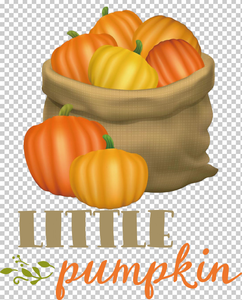 Little Pumpkin Thanksgiving Autumn PNG, Clipart, Autumn, Fruit, Little Pumpkin, Local Food, Meter Free PNG Download