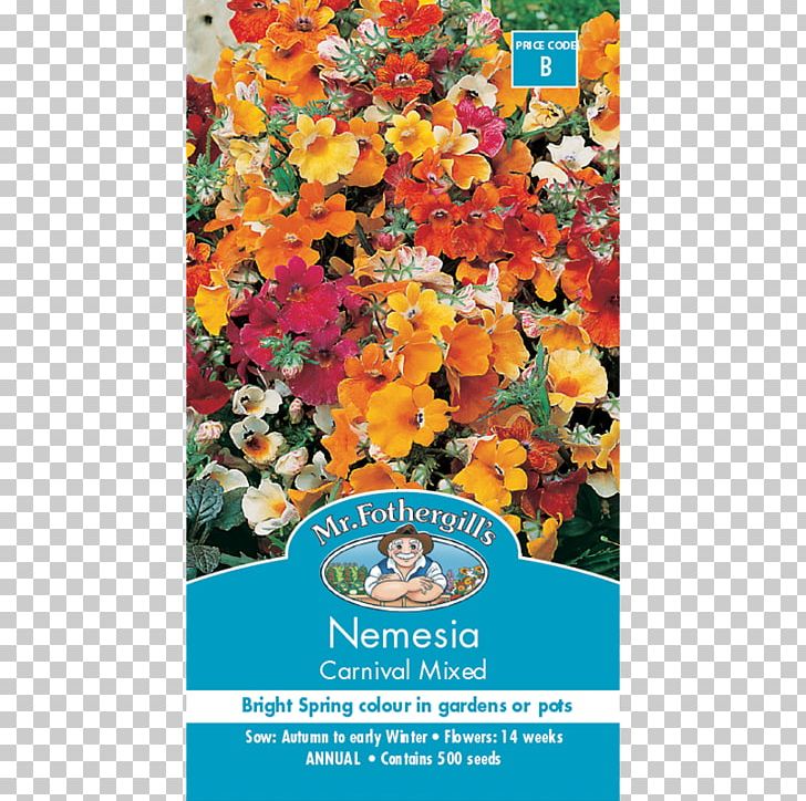 Nemesia Seed Flower Marvel-of-peru Annual Plant PNG, Clipart,  Free PNG Download