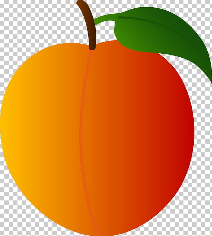Peach Fruit PNG, Clipart, Apple, Apricot, Circle, Citrus, Computer Icons Free PNG Download